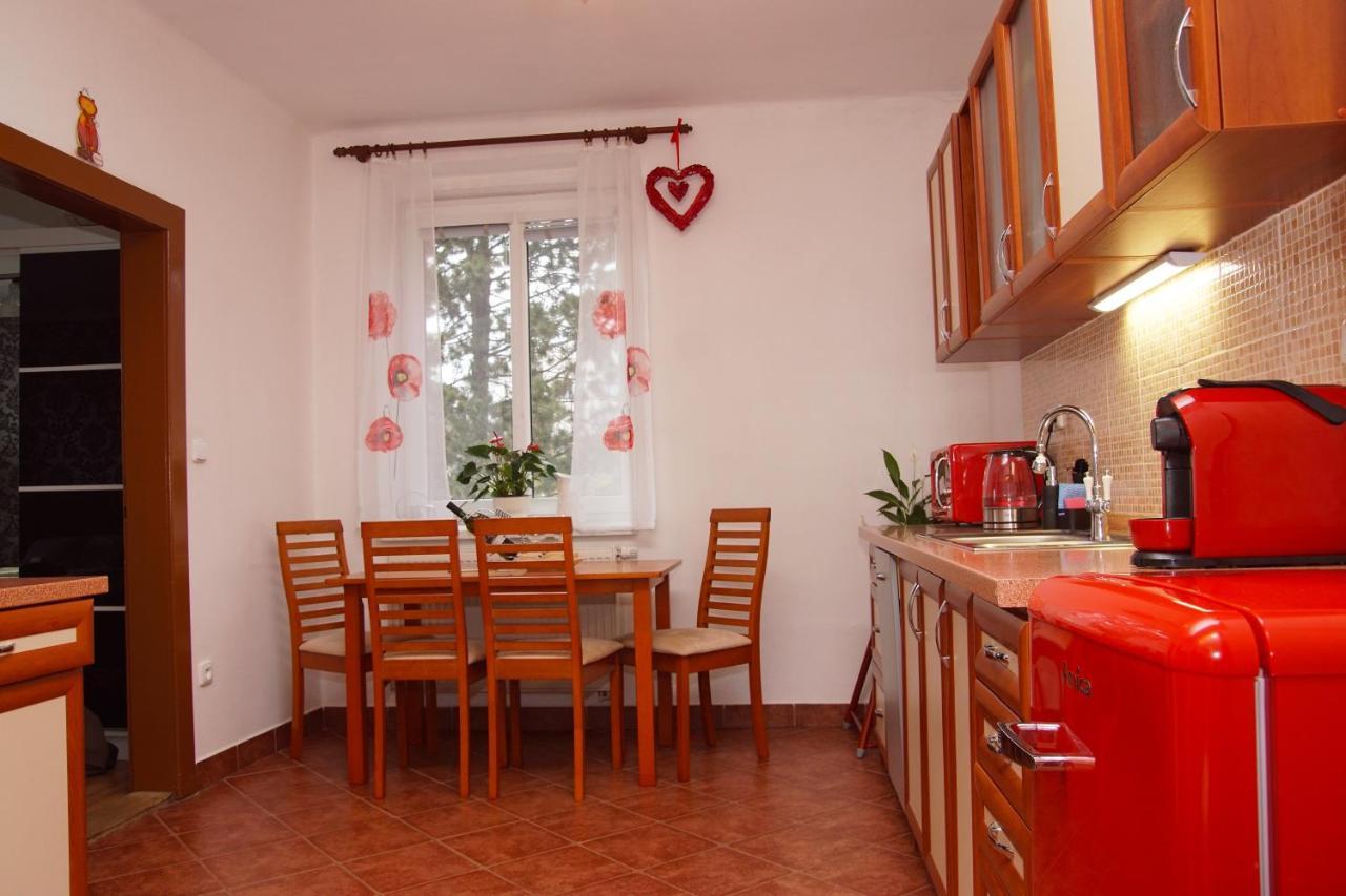 Luxusni Apartman Nmnm Family Нове-Место-на-Мораве Экстерьер фото